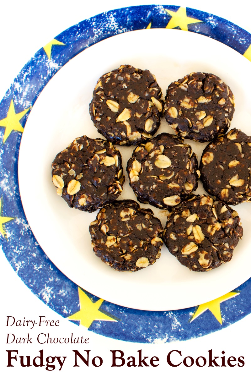 Fudgy No Bake Chocolate Oatmeal Cookies Recipe Vegan Gluten Free