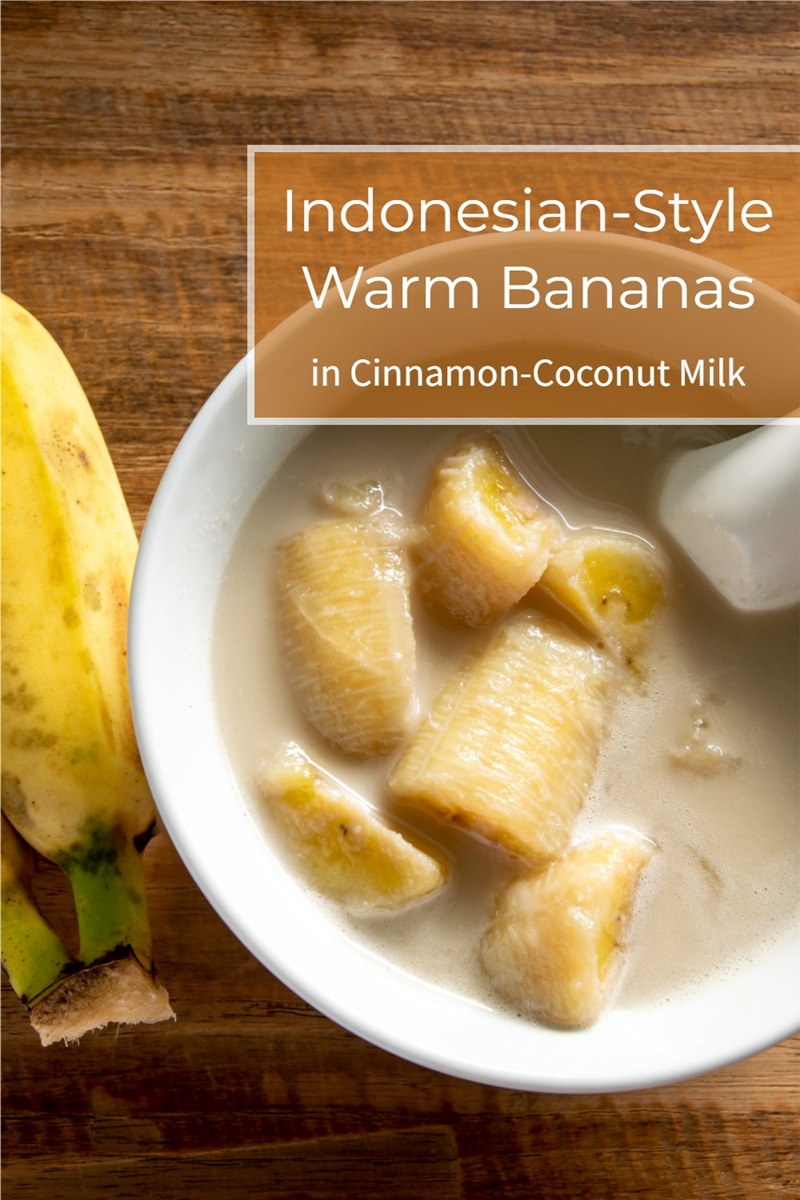 Indonesian-Style Warm Bananas in Cinnamon-Coconut Milk - dairy-free, gluten-free, nut-free, soy-free, paleo optional