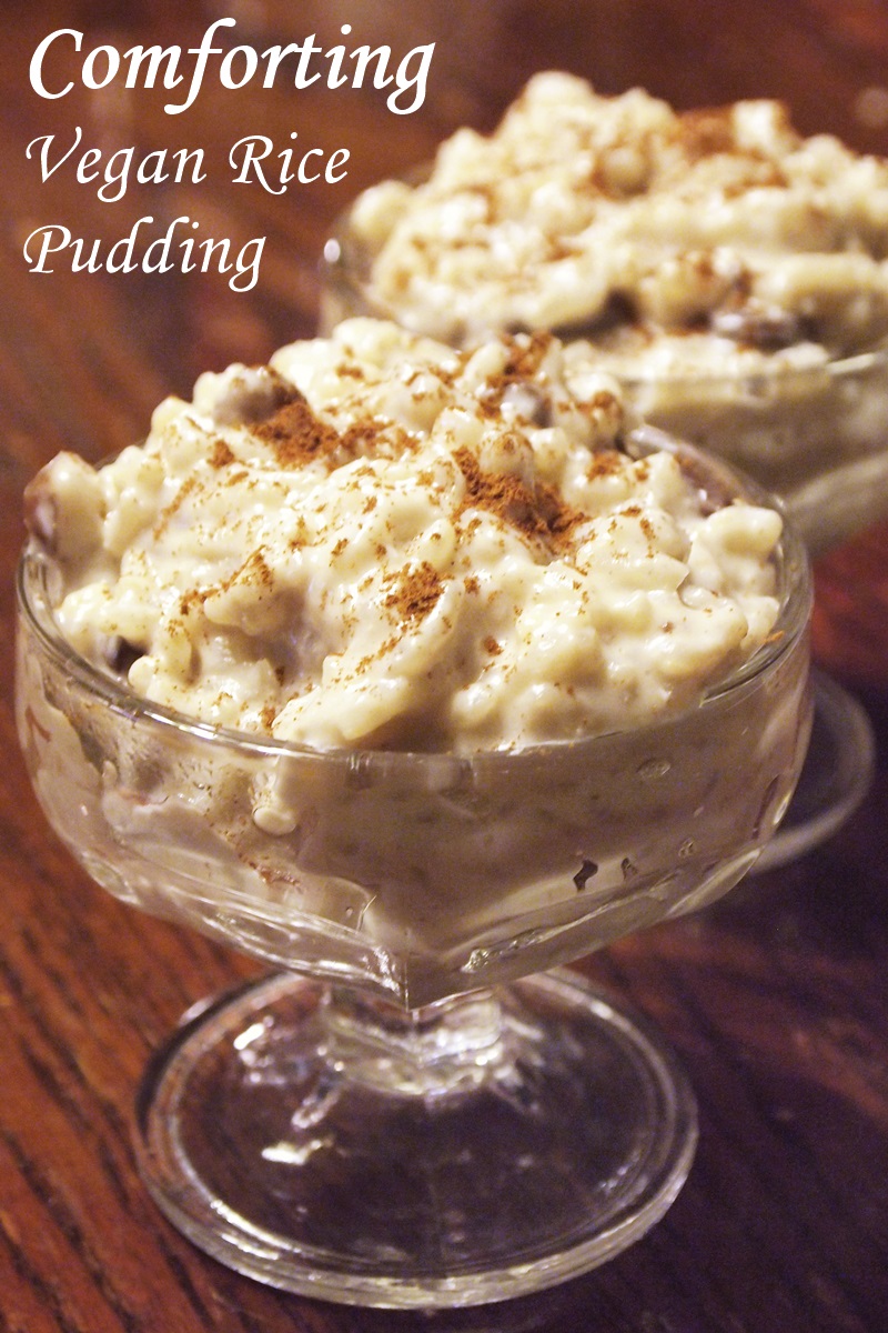 Comforting Vegan Rice Pudding Recipe
