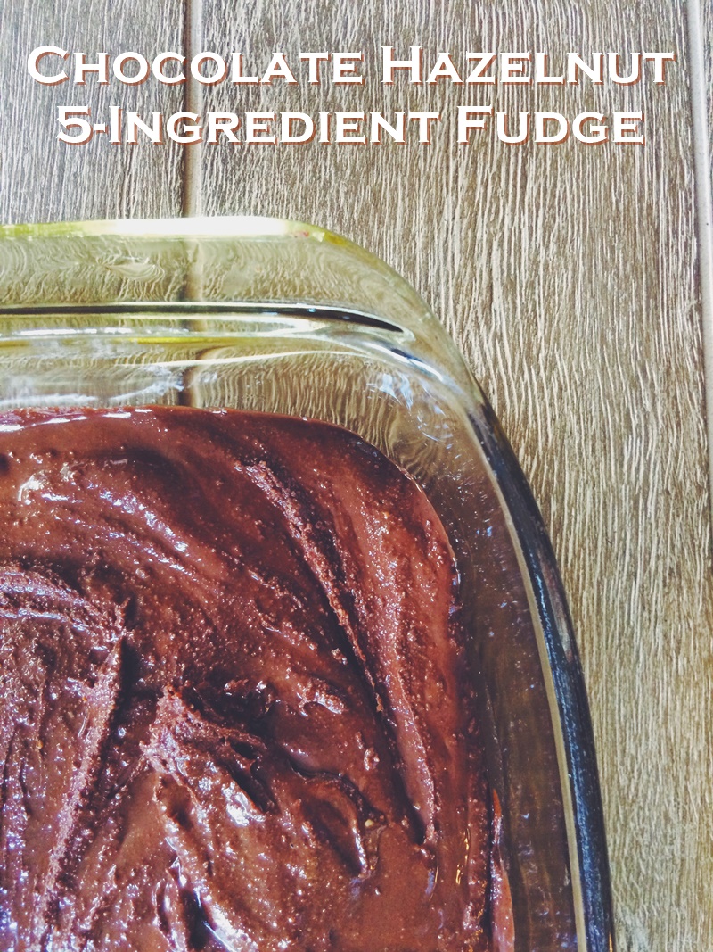 Vegan Nutella 5-Ingredient Fudge Recipe - This healthier hazelnut butter chocolate treat is an easy from-scratch recipe with pure wholesome ingredients. Naturally dairy-free, gluten-free, soy-free and paleo optional.