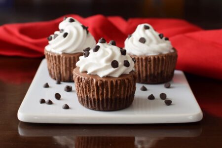 Dairy-Free Triple Chocolate Ice Cream Cupcakes - vegan, gluten-free, allergy-friendly recipe!