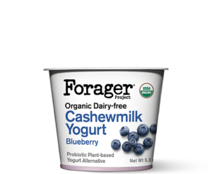 Forager Project Cashewgurt / Cashewmilk Yogurt Reviews and Information. We have ingredients, ratings, and more for this natural, vegan, soy-free yogurt line. Pictured: Blueberry